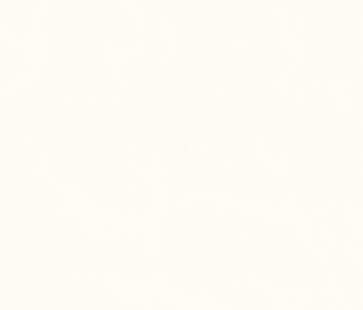 Marburger Tapete 1899 10,05 x 0,75 m Patent Grossrolle 2088